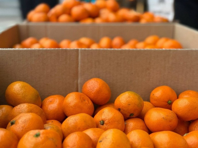 Вячеслав Гладков посетил фермерскую ярмарку в Белгороде