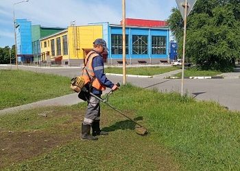 В Белогорске школьники подключились к покосу травы