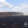 В Ярославской области за сутки пожарные потушили 41 пал сухой травы