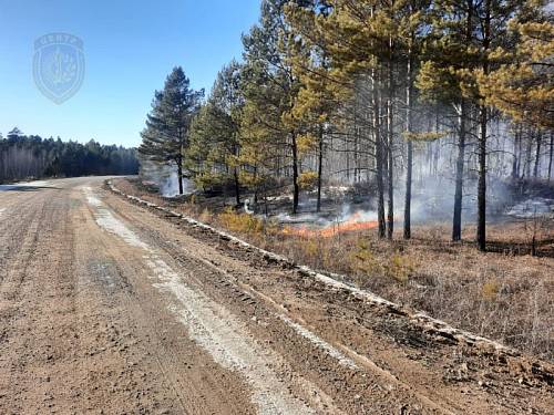 Осенью в Приамурье зафиксировали всего семь лесных пожаров