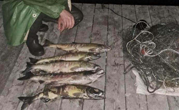 177 кг рыбы и 5,4 кг икры изъяли у сахалинских браконьеров за неделю 177 кг рыбы и 5,4 кг икры изъяли у сахалинских браконьеров за неделю