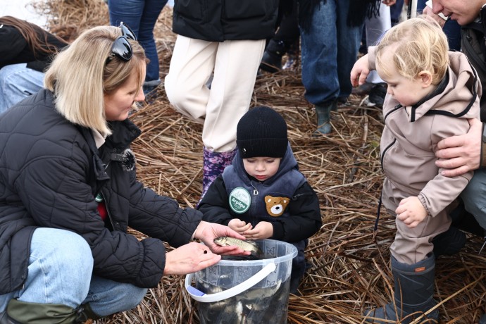 В Астрахани расчистили протоку и выпустили туда мальков сазана В Астрахани расчистили протоку и выпустили туда мальков сазана