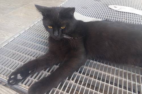 Овны наделают кучу ошибок, для Стрельцов день будет одним из самых удачных за последнее время