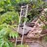 В Ленобласти мальчик сгорел, играя с огнем в заброшенном доме