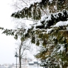 4 января в Кирове будет снежно и пасмурно