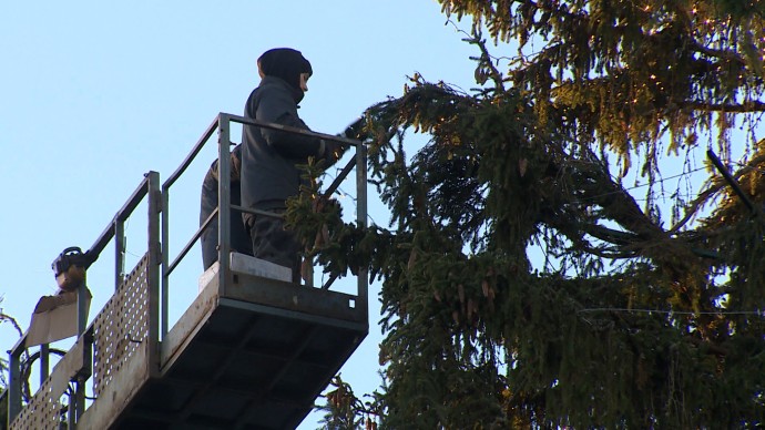 Автовышки для игрушек и хлопушек: как и чем украсят главную ель Петербурга на Дворцовой Автовышки для игрушек и хлопушек: как и чем украсят главную ель Петербурга на Дворцовой