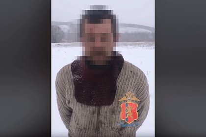 Россиянин сжег 166 кедров и объяснил свой поступок Россиянин сжег 166 кедров и объяснил свой поступок