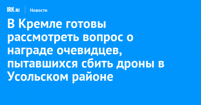 В Кремле готовы рассмотреть вопрос о награде очевидцев, пытавшихся сбить дроны в Усольском районе