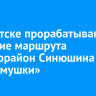 В Иркутске прорабатывают создание маршрута «Микрорайон Синюшина Гора – Черемушки»