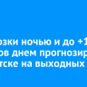 Заморозки ночью и до +17 градусов днем прогнозируют в Иркутске на выходных
