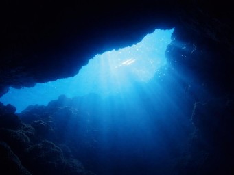 Учёные выявили неизвестных сенакантовых акул в пещере Кентукки — Earth