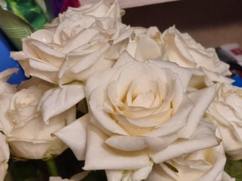 Рынок лихорадит перед 1 сентября: россияне тратят на цветы больше, чем раньше