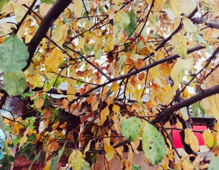 В Башкирии держится тёплая погода В Башкирии держится тёплая погода