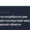 Двое суток потребуется для устранения последствий циклона во Владимирской области