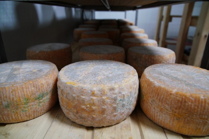 На что нацелена молочная отрасль Башкирии. Главное