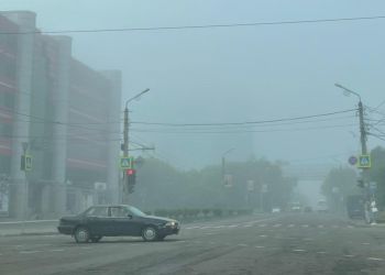 Пятница в Приамурье будет дождливой и туманной