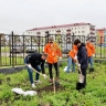 Участники молодёжного форума угольщиков на Сахалине высадили деревья в память о ветеранах отрасли