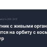 Биоспутник с живыми организмами отправится на орбиту с космодрома Байконур