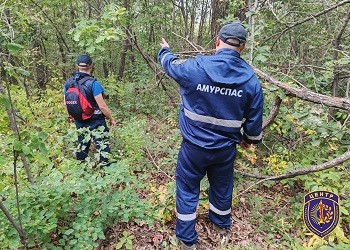 В Приамурье ищут потерявшегося грибника 1940 года рождения