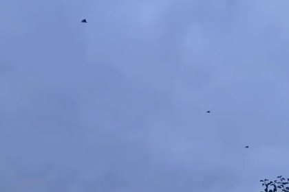 Над Украиной заметили рой из «Гераней»
