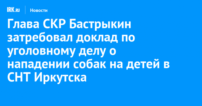 Глава СКР Бастрыкин затребовал доклад по уголовному делу о нападении собак на детей в СНТ Иркутска