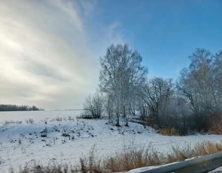 В Башкирии начались самые короткие световые дни в году