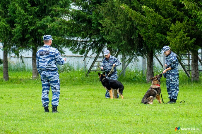 Полицейские собаки показали свои умения и «взяли» «учебного грабителя»
