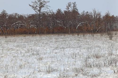 Три амурских заказника успешно прошли проверку готовности к зимовке копытных