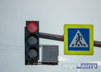 В Благовещенске под колесами авто оказался пьяный пешеход