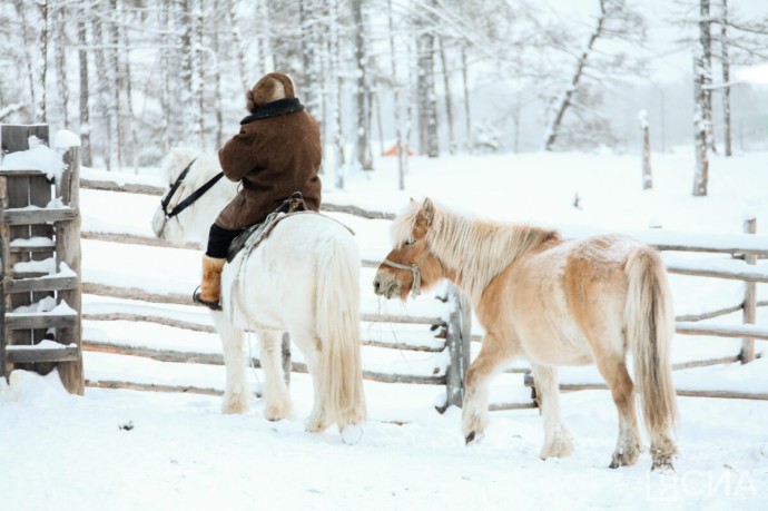Грантовую поддержку получили 15 начинающих фермеров Якутии