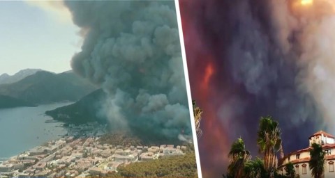 Пожары в Турции сегодня - в субботу: сводка о пожарах в 14 провинциях – что нужно знать российским туристам