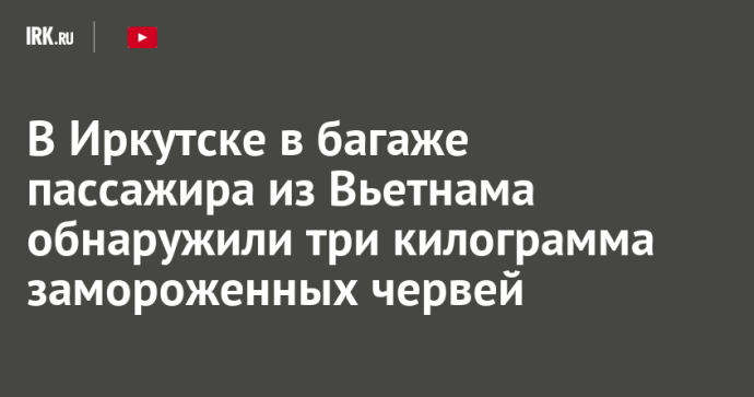 В Иркутске в багаже пассажира из Вьетнама обнаружили три килограмма замороженных червей В Иркутске в багаже пассажира из Вьетнама обнаружили три килограмма замороженных червей