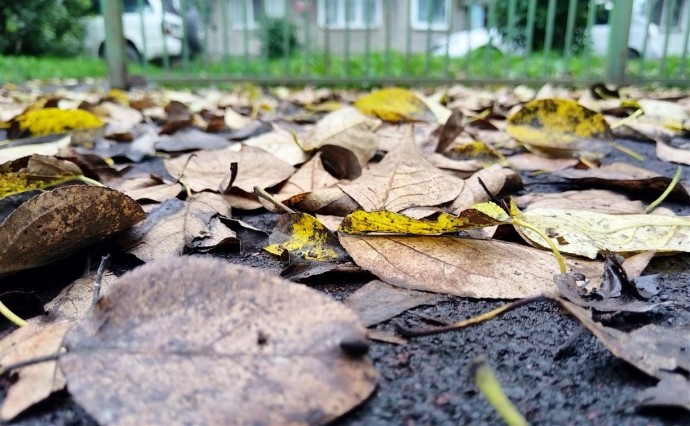 Возможен мокрый снег: погода на Сахалине и Курилах на предстоящую неделю Возможен мокрый снег: погода на Сахалине и Курилах на предстоящую неделю