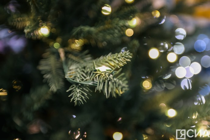 Айсен Николаев исполнил желание выпускника школы из якутского села Чыаппара в акции «Ёлка желаний»