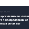 Новосибирский власти заявили, что дефицита в пострадавших от пастереллеза селах нет