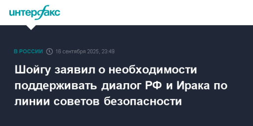 Шойгу заявил о необходимости поддерживать диалог РФ и Ирака по линии советов безопасности