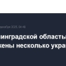 Над Ленинградской областью уничтожены несколько украинских БПЛА