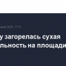 В Крыму загорелась сухая растительность на площади 21 га
