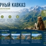 Куда ехать летом 2026: готовые маршруты по Северному Кавказу