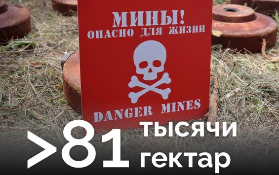 В Курской области разминировано более 81 тысячи гектаров земли