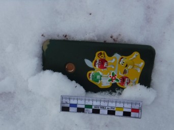В Мордовии осужден местный житель застреливший краснокнижную косулю