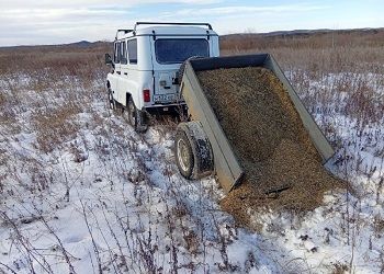 Для обитателей амурских заказников закупили больше 20 тонн соли и 150 тонн овса