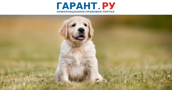 В России появился первый национальный стандарт для площадок выгула собак