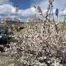 Местами по Бурятии кратковременные дожди