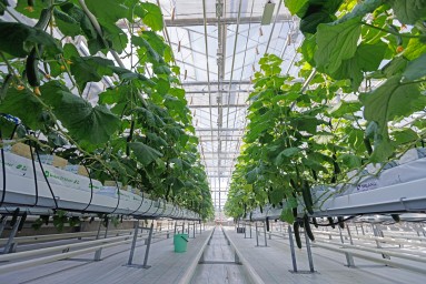 В Минсельхозе работают над созданием единой цифровой платформы АПК