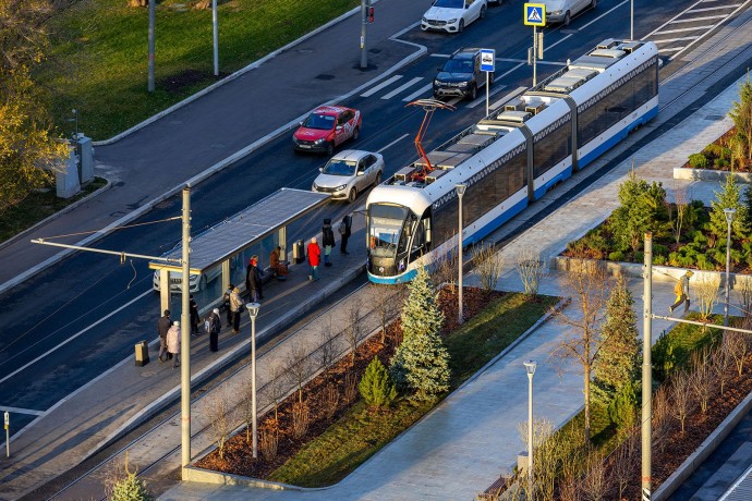 В следующем году в Москве благоустроят 570 улиц и высадят около 10 тыс. деревьев