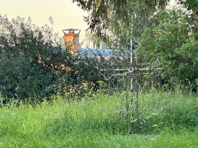 Чиновники оставили свалку в костромском городе мертвых