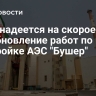 Иран надеется на скорое возобновление работ по достройке АЭС "Бушер"