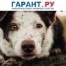Обвиняемых в жестоком обращении с животными направят на экспертизу к психиатру