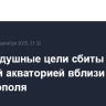 Две воздушные цели сбиты над морской акваторией вблизи Севастополя